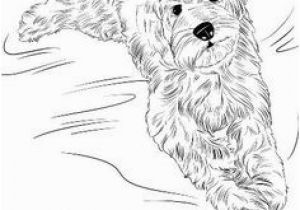 Australian Shepherd Coloring Page 286 Best Dog Coloring Pages Images