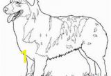 Australian Shepherd Coloring Page 286 Best Dog Coloring Pages Images