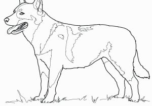 Australian Shepherd Coloring Page Australian Christmas Coloring Sheets – Page