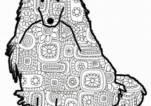 Australian Shepherd Coloring Page Coloring Book