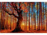 Autumn forest Wall Mural 2019 Autumn forest Path Nature Art Silk Furniture Bar Family Wall Decoration Hot Sale Popular Poster 2 From Poster2021 $8 93