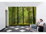 Autumn forest Wall Mural Ideal Decor 100 In X 144 In Autumn forest Wall Mural