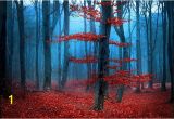 Autumn forest Wall Mural Red forest Wall Mural Tree Wallpaper