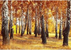 Autumn forest Wall Mural Wall Murals