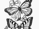 B is for butterfly Coloring Page Coloring Pages Free Printable Coloring Pages for Children that You