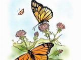 B is for butterfly Coloring Page Dover Publications butterflies Coloring Book Dover Nature Coloring