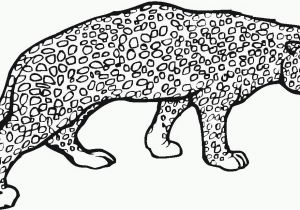 Baby Cheetah Coloring Pages Cheetah Coloring Page Animals town Color Sheet Coloring