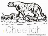 Baby Cheetah Coloring Pages Color Pages Cute Baby Cheetah Coloring Pages Real Color