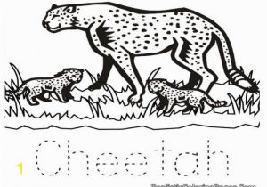 Baby Cheetah Coloring Pages Color Pages Cute Baby Cheetah Coloring Pages Real Color