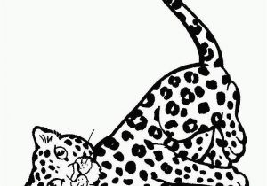 Baby Cheetah Coloring Pages Cute Baby Cheetah Coloring Pages Real Cheetah Coloring Pages