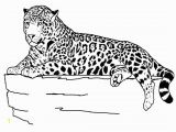 Baby Cheetah Coloring Pages Txt Descargar Free Printable Cheetah Coloring Pages for Kids