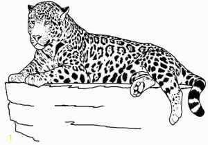Baby Cheetah Coloring Pages Txt Descargar Free Printable Cheetah Coloring Pages for Kids