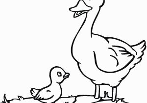 Baby Duck Coloring Pages to Print Baby Duck Coloring Page