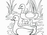 Baby Duck Coloring Pages to Print Baby Duck Coloring Pages Ducks Trend Medium Size Daffy Page Color