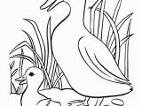 Baby Duck Coloring Pages to Print Baby Duck Coloring Pages to Print Best Ducks Free oregon