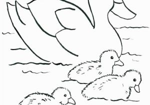 Baby Duck Coloring Pages to Print Coloring Pages A Duck