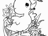 Baby Duck Coloring Pages to Print Cute Baby Duck Coloring Pages Google Search