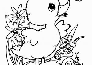 Baby Duck Coloring Pages to Print Cute Baby Duck Coloring Pages Google Search