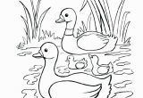 Baby Goose Coloring Pages Baby Goose Coloring Pages Elegant Printable Drawing Books at