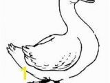 Baby Goose Coloring Pages Baby Raccoon Coloring Page