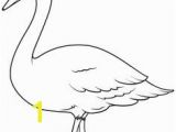 Baby Goose Coloring Pages Charlotte S Web Coloring Pages