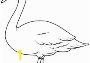 Baby Goose Coloring Pages Charlotte S Web Coloring Pages