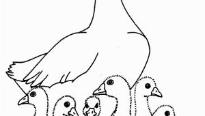 Baby Goose Coloring Pages Charlotte S Web Coloring Pages