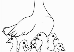 Baby Goose Coloring Pages Charlotte S Web Coloring Pages