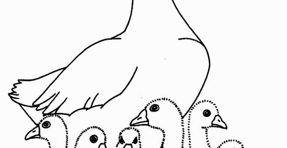 Baby Goose Coloring Pages Charlotte S Web Coloring Pages