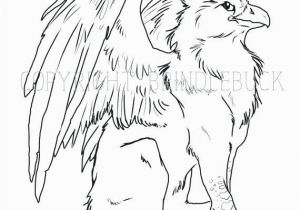 Baby Griffin Coloring Pages Baby Griffin Coloring Pages Coloring Page Download Child Art Adult