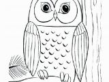 Baby Owl Coloring Page Baby Owl Coloring Pages