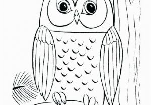 Baby Owl Coloring Page Baby Owl Coloring Pages