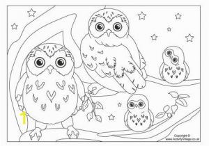 Baby Owl Coloring Page Baby Owl Coloring Pages