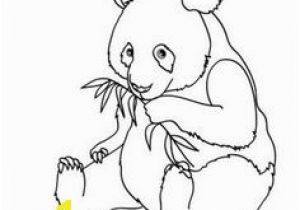 Baby Panda Coloring Pages top 25 Free Printable Cute Panda Bear Coloring Pages Line