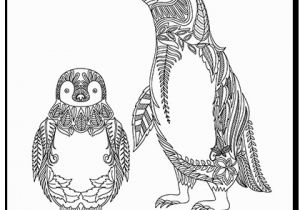 Baby Penguin Coloring Pages Penguin Coloring Page