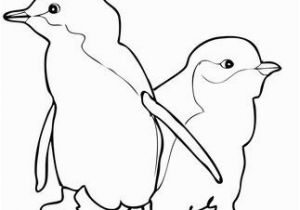 Baby Penguin Coloring Pages Two Little Blue Penguins Coloring Page