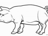 Baby Pig Coloring Pages Free Piglets Coloring Pages Amazing Coloring