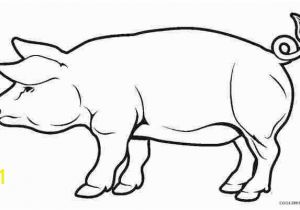 Baby Pig Coloring Pages Free Piglets Coloring Pages Amazing Coloring