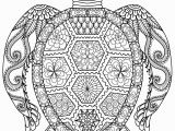 Baby Turtle Coloring Pages 59 Most Magic Free Printable Sun Coloring Pages for Adults