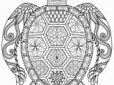Baby Turtle Coloring Pages 59 Most Magic Free Printable Sun Coloring Pages for Adults