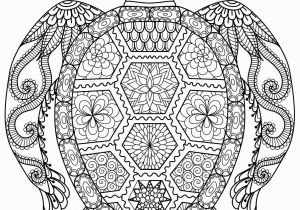 Baby Turtle Coloring Pages 59 Most Magic Free Printable Sun Coloring Pages for Adults