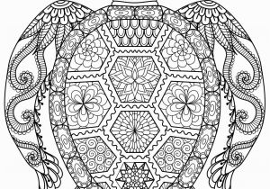 Baby Turtle Coloring Pages 59 Most Magic Free Printable Sun Coloring Pages for Adults
