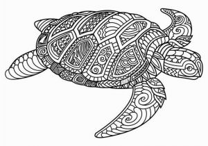 Baby Turtle Coloring Pages Image Result for Free Mandala Coloring Page with A Lizard or