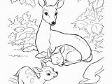 Balaam Donkey Coloring Page Donkey Coloring Page Elegant Summer Season Coloring Pages Summer