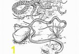 Balance Scale Coloring Page Reptiles Coloring Book Ten Different Pages