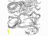 Balance Scale Coloring Page Reptiles Coloring Book Ten Different Pages