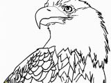 Bald Eagle Coloring Page 12 Unique Bald Eagle Coloring Page