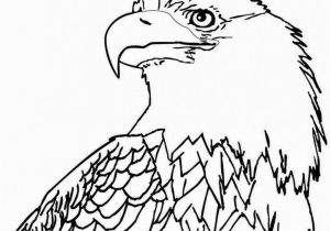 Bald Eagle Coloring Page 12 Unique Bald Eagle Coloring Page