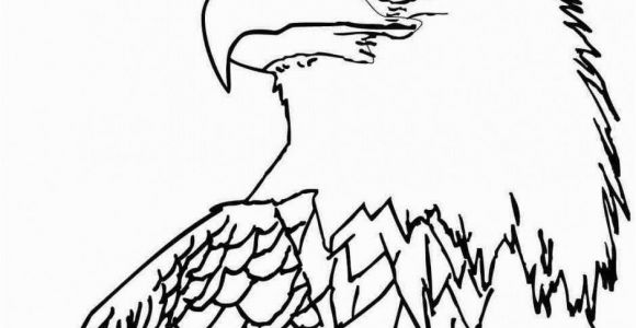 Bald Eagle Coloring Page 12 Unique Bald Eagle Coloring Page