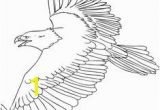 Bald Eagle Coloring Page 51 Best Eagle Coloring Pages Images On Pinterest